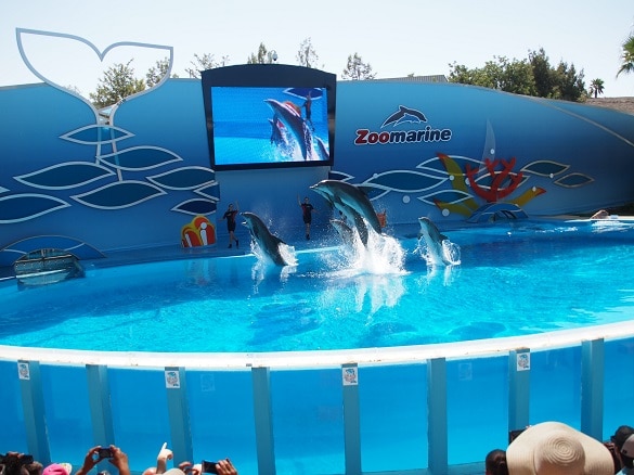 Ecran LED P16 - 15m²