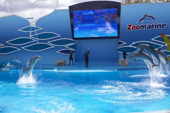 Ecran LED P16 - 15m²